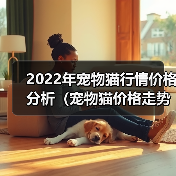 2022年宠物猫行情价格分析(宠物猫价格走势及未来预测,)(图2) 2022年宠物猫行情价格分析(宠物猫价格走势及未来预测,)(图2)