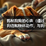 揭秘狗狗的心声（通过狗语和肢体动作，与狗狗建立深度沟通）(图2)