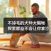 不掉毛的犬种大揭秘(探索那些不会让你家沙发满是狗毛的犬种)(图4) 不掉毛的犬种大揭秘(探索那些不会让你家沙发满是狗毛的犬种)(图3)