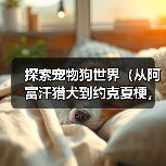 探索宠物狗世界(从阿富汗猎犬到约克夏梗,了解世界各地的宠物狗种类)(图3) 探索宠物狗世界(从阿富汗猎犬到约克夏梗,了解世界各地的宠物狗种类)(图3)