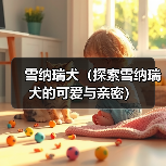 雪纳瑞犬(探索雪纳瑞犬的可爱与亲密)(图1) 雪纳瑞犬(探索雪纳瑞犬的可爱与亲密)(图1)