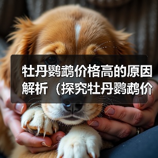 牡丹鹦鹉价格高的原因解析（探究牡丹鹦鹉价格飙升背后的原因及市场需求）(图3)