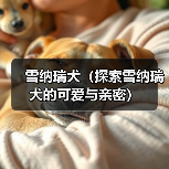 雪纳瑞犬(探索雪纳瑞犬的可爱与亲密)(图2) 雪纳瑞犬(探索雪纳瑞犬的可爱与亲密)(图2)