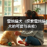 雪纳瑞犬(探索雪纳瑞犬的可爱与亲密)(图3) 雪纳瑞犬(探索雪纳瑞犬的可爱与亲密)(图3)