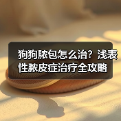 狗狗脓包怎么治?浅表性脓皮症治疗全攻略(图3) 狗狗脓包怎么治?浅表性脓皮症治疗全攻略(图3)