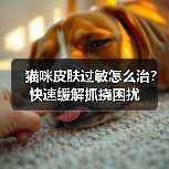 猫咪皮肤过敏怎么治？快速缓解抓挠困扰(图4)