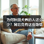 为何秋田犬养的人这么少?背后竟有这些隐情(图1) 为何秋田犬养的人这么少?背后竟有这些隐情(图1)