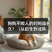 狗狗不咬人的时间是多久？（从初生到成熟，狗狗不咬人需要经历的阶段）(图4)