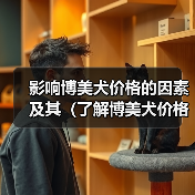 影响博美犬价格的因素及其(了解博美犬价格的关键因素,选择适合自己的宠物伴侣)(图2) 影响博美犬价格的因素及其(了解博美犬价格的关键因素,选择适合自己的宠物伴侣)(图2)