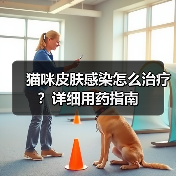 猫咪皮肤感染怎么治疗?详细用药指南(图1) 猫咪皮肤感染怎么治疗?详细用药指南(图1)