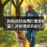 狗狗皮肤病用红霉素软膏?这些情况不能乱涂!(图3) 狗狗皮肤病用红霉素软膏?这些情况不能乱涂!(图3)