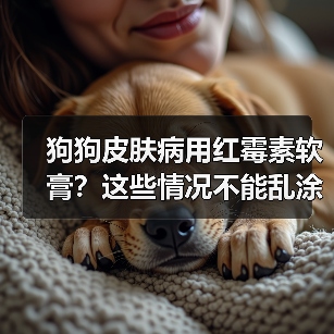 狗狗皮肤病用红霉素软膏?这些情况不能乱涂!(图1) 狗狗皮肤病用红霉素软膏?这些情况不能乱涂!(图1)