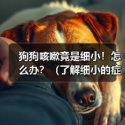 狗狗咳嗽竟是细小！怎么办？（了解细小的症状和应对方法，保护你的爱犬健康。）(图1)