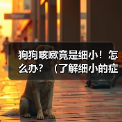 狗狗咳嗽竟是细小！怎么办？（了解细小的症状和应对方法，保护你的爱犬健康。）(图2)