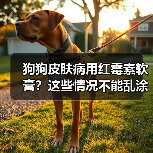 狗狗皮肤病用红霉素软膏?这些情况不能乱涂!(图4) 狗狗皮肤病用红霉素软膏?这些情况不能乱涂!(图4)