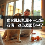 猫咪乱拉乱尿不一定是发情!这些原因你中了几个?(图1) 猫咪乱拉乱尿不一定是发情!这些原因你中了几个?(图1)