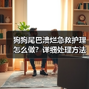 狗狗尾巴溃烂急救护理怎么做?详细处理方法解析(图1) 狗狗尾巴溃烂急救护理怎么做?详细处理方法解析(图1)