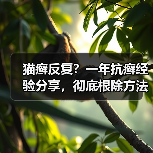 猫癣反复?一年抗癣经验分享,彻底根除方法大公开!(图4) 猫癣反复?一年抗癣经验分享,彻底根除方法大公开!(图4)