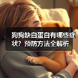 狗狗缺白蛋白有哪些症状?预防方法全解析(图1) 狗狗缺白蛋白有哪些症状?预防方法全解析(图1)