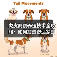 虎皮鹦鹉养殖技术全攻略:如何打造舒适家园与科学喂养方法?(图4) 虎皮鹦鹉养殖技术全攻略:如何打造舒适家园与科学喂养方法?(图4)