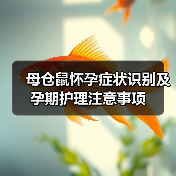 母仓鼠怀孕症状识别及孕期护理注意事项(图4)