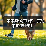 串串狗优点超多,真的不输纯种狗!(图4) 串串狗优点超多,真的不输纯种狗!(图3)