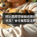 阿比西尼亚猫能吃哪些水果?安全推荐及注意事项全解析(图1) 阿比西尼亚猫能吃哪些水果?安全推荐及注意事项全解析(图1)