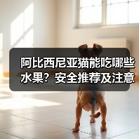 阿比西尼亚猫能吃哪些水果?安全推荐及注意事项全解析(图3) 阿比西尼亚猫能吃哪些水果?安全推荐及注意事项全解析(图3)