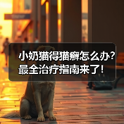 小奶猫得猫癣怎么办?最全治疗指南来了!(图1) 小奶猫得猫癣怎么办?最全治疗指南来了!(图1)