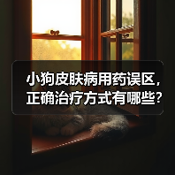 小狗皮肤病用药误区,正确治疗方式有哪些?(图3) 小狗皮肤病用药误区,正确治疗方式有哪些?(图3)