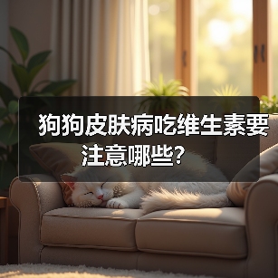 狗狗皮肤病吃维生素要注意哪些?(图4) 狗狗皮肤病吃维生素要注意哪些?(图4)
