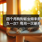 四个月狗狗驱虫频率多久一次?每月一次是关键(图1) 四个月狗狗驱虫频率多久一次?每月一次是关键(图1)