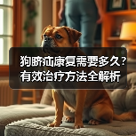 狗脐疝康复需要多久?有效治疗方法全解析(图1) 狗脐疝康复需要多久?有效治疗方法全解析(图1)