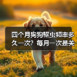 四个月狗狗驱虫频率多久一次?每月一次是关键(图4) 四个月狗狗驱虫频率多久一次?每月一次是关键(图3)