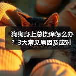 狗狗身上总挠痒怎么办?3大常见原因及应对方法(图4) 狗狗身上总挠痒怎么办?3大常见原因及应对方法(图4)