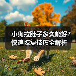 小狗拉肚子多久能好?快速恢复技巧全解析(图1) 小狗拉肚子多久能好?快速恢复技巧全解析(图1)