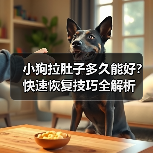 小狗拉肚子多久能好?快速恢复技巧全解析(图3) 小狗拉肚子多久能好?快速恢复技巧全解析(图3)