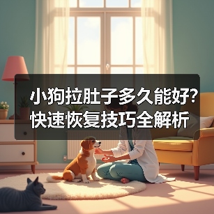 小狗拉肚子多久能好?快速恢复技巧全解析(图2) 小狗拉肚子多久能好?快速恢复技巧全解析(图2)