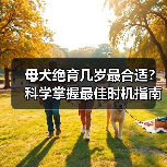 母犬绝育几岁最合适?科学掌握最佳时机指南(图4) 母犬绝育几岁最合适?科学掌握最佳时机指南(图4)
