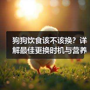 狗狗饮食该不该换?详解最佳更换时机与营养需求(图4) 狗狗饮食该不该换?详解最佳更换时机与营养需求(图4)