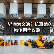 猫癣怎么治?抗真菌药物使用全攻略(图2) 猫癣怎么治?抗真菌药物使用全攻略(图2)