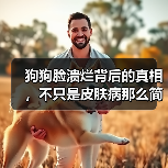 狗狗脸溃烂背后的真相，不只是皮肤病那么简单！(图3)