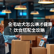 金毛幼犬怎么喂才健康?饮食搭配全攻略(图1) 金毛幼犬怎么喂才健康?饮食搭配全攻略(图1)