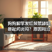 狗狗脚掌发红频繁舔舐是趾间炎吗?原因和治疗全解析(图3) 狗狗脚掌发红频繁舔舐是趾间炎吗?原因和治疗全解析(图3)