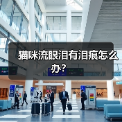 猫咪流眼泪有泪痕怎么办?(图3) 猫咪流眼泪有泪痕怎么办?(图3)