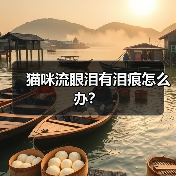 猫咪流眼泪有泪痕怎么办?(图4) 猫咪流眼泪有泪痕怎么办?(图4)