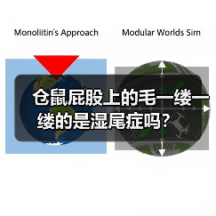 仓鼠屁股上的毛一缕一缕的是湿尾症吗?(图2) 仓鼠屁股上的毛一缕一缕的是湿尾症吗?(图2)
