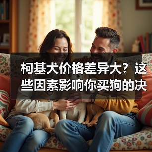 柯基犬价格差异大?这些因素影响你买狗的决定(图1) 柯基犬价格差异大?这些因素影响你买狗的决定(图1)