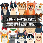 狗狗不停挠痒啃咬,究竟是哪种健康问题?(图4) 狗狗不停挠痒啃咬,究竟是哪种健康问题?(图4)