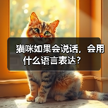 猫咪如果会说话,会用什么语言表达?(图1) 猫咪如果会说话,会用什么语言表达?(图1)